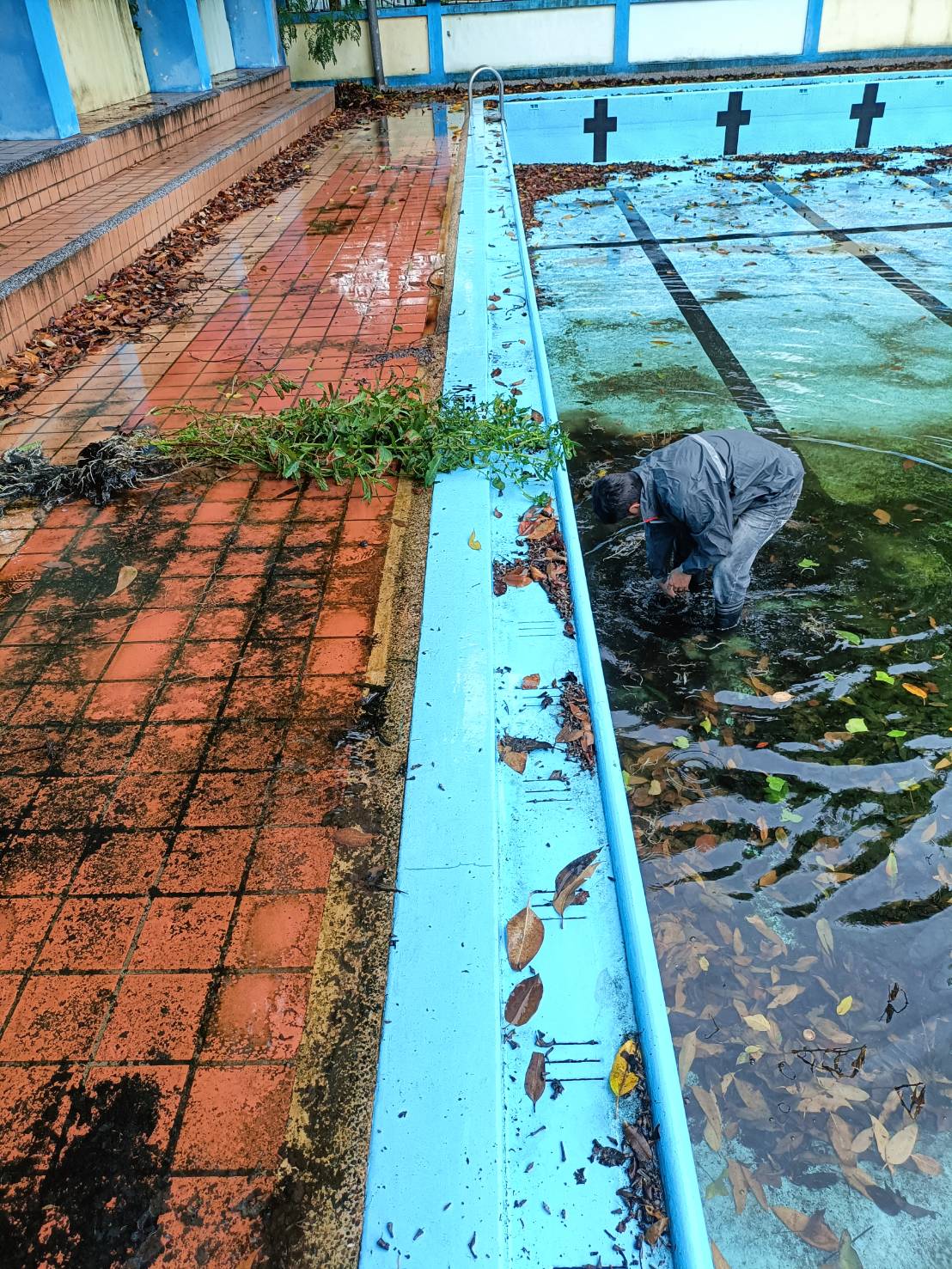 泳池、水池清洗